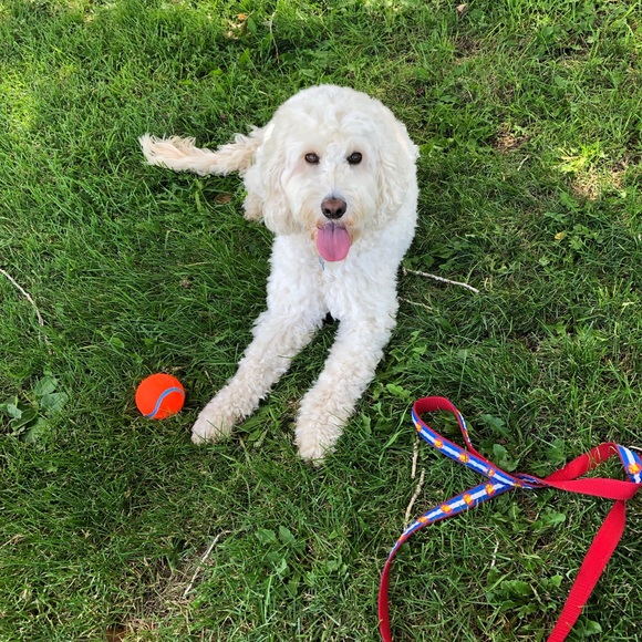 Hello from Denver, Colorado! 🙂 - Picture 3 of 3